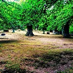 La Presa *