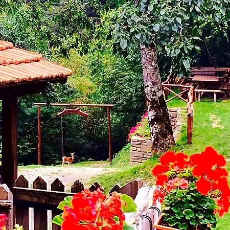 Bed and breakfast La Presa Molino del Pallone